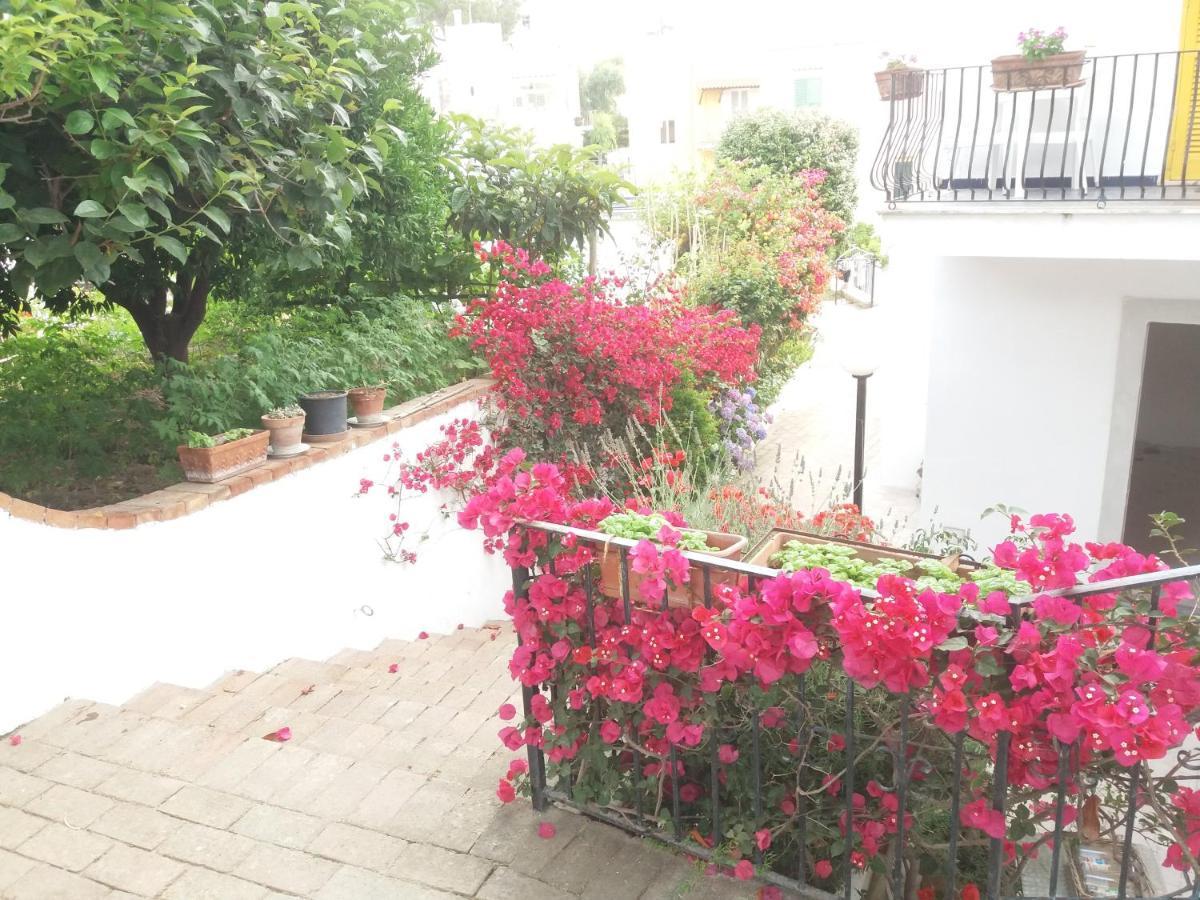 Gromano Apartments Ischia Exteriér fotografie
